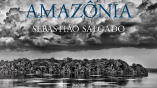Amazônia: A Look at What We Stand to Lose