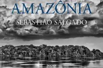 Amazônia: A Look at What We Stand to Lose