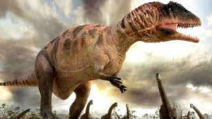 CO2 Levels Heading Back to the Days of the Dinosaur