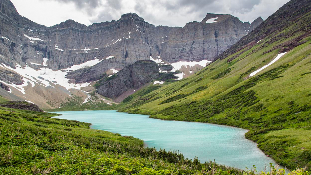 In Glacier National Park, Ice Isn’t the Only Thing That’s Disappearing