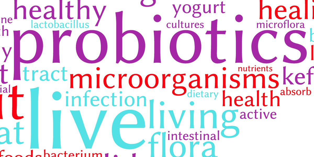 Do Probiotics Really Work?