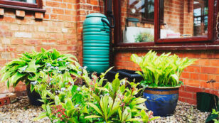 Roof-to-Garden: How to Irrigate with Rainwater