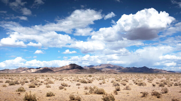 Mojave Desert Protections and Renewable Energy Under Attack