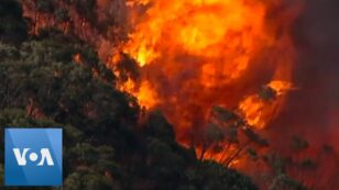 ‘Everything Is Burning’: Australian Inferno Continues, Choking off Access to Cities Across Country