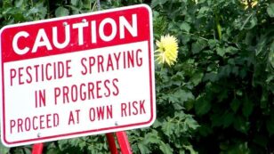 EPA Scraps Scheduled Ban of Widely Used Pesticide Known to Harm Kids’ Brains