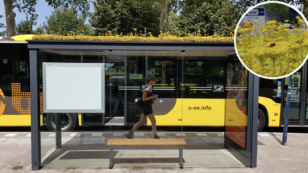 Dutch City Transforms Bus Stops Into Bee Stops
