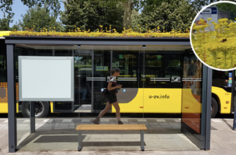 Dutch City Transforms Bus Stops Into Bee Stops