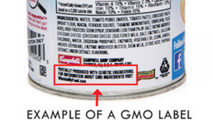In 17 Days Vermont’s Historic GMO Labeling Law Goes Into Effect: Is Big Food Ready?