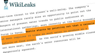 8 Takeaways From Nestle’s Secret Report Warning the World Is Running Out of Water