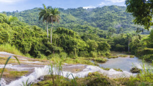 Cuba’s Clean Rivers Benefit From Sustainable Agriculture