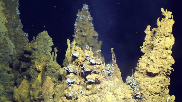 Deep Sea Mining Decisions: Approaching the Point of No Return