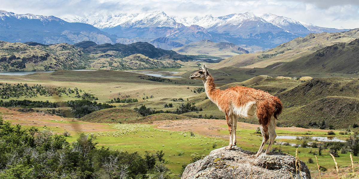 A Wilderness Like No Other: Chile’s New Patagonia National Park