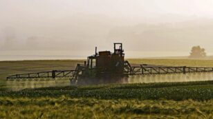 FDA Finds Weed Killer in Most Corn, Soy at ‘Non-Violative Levels’