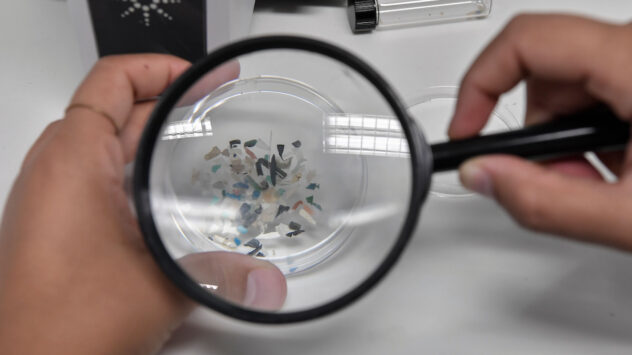 Ocean Microplastics Are Drastically Underestimated, New Research Suggests