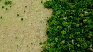 Norway Freezes $33.2M Transfer to Brazil’s Amazon Fund Amid Deforestation ‘Surge’