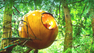 Ready to Escape Into This Magical Treetop Orb?