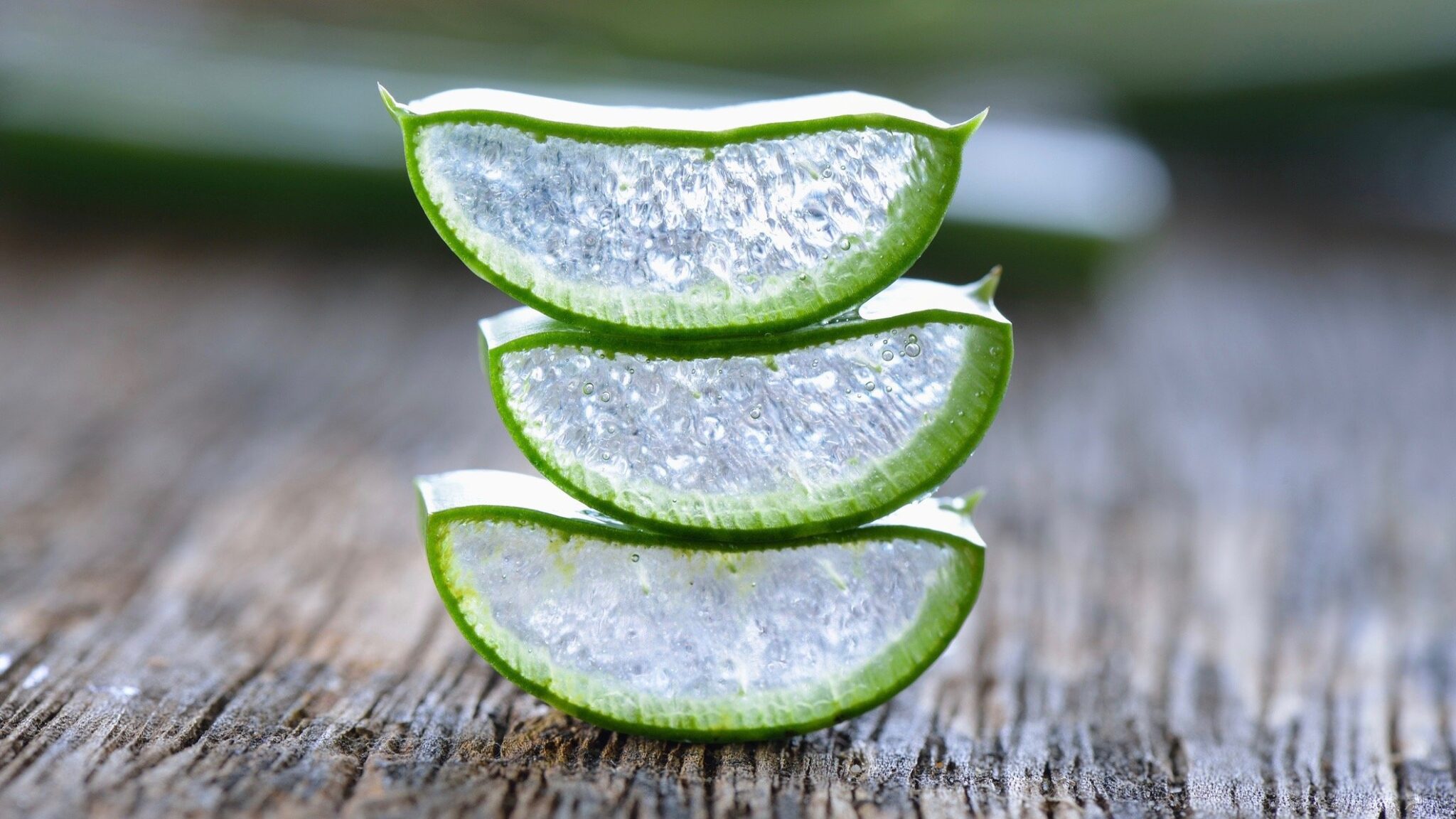 Aloe Vera for Weight Loss: Benefits and Side Effects - EcoWatch