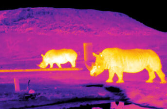 To Save Endangered Species, Scientists Point Stargazing Software Back to Earth