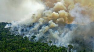 Fires Surge in Brazil’s Amazon a Month After Bolsonaro Declared Fire Ban