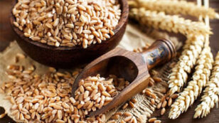 What Is Spelt and Is it Healthier for Me Than Wheat?
