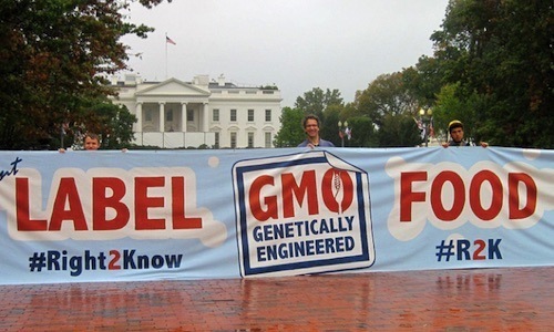 8 Battleground States in the GMO Food Labeling Fight