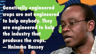 5 Million Nigerians Oppose Monsanto’s Plans to Introduce GMO Cotton and Corn