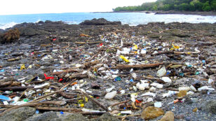 80% of Ocean Plastic Comes From Land-Based Sources, New Report Finds