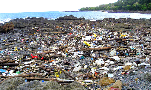 80% of Ocean Plastic Comes From Land-Based Sources, New Report Finds