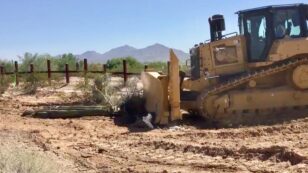 Watch Bulldozers Plow Protected Cacti for Trump’s Border Wall