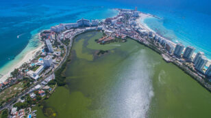 Cancun Businesses Take Out Insurance Policy on a Coral Reef