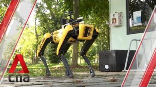 Singapore Uses ‘Scary’ Robot Dog to Enforce Social Distancing