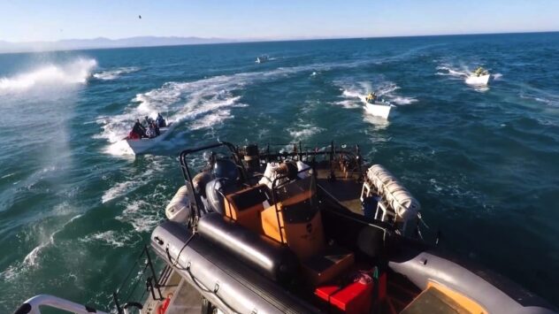 Sea Shepherd Ship Attacked by Rocks, Molotov Cocktails in Vaquita Refuge