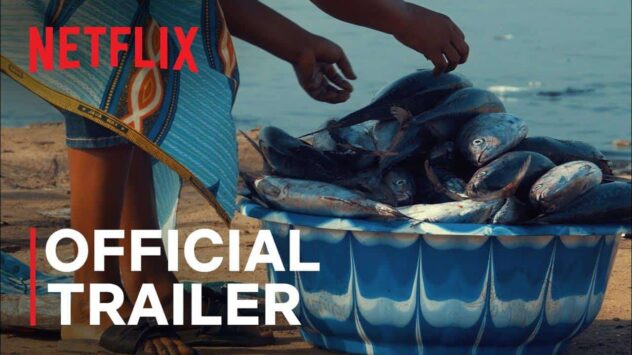 Netflix’s ‘Seaspiracy’: Viewers React to Commercial Fishing Industry Exposé