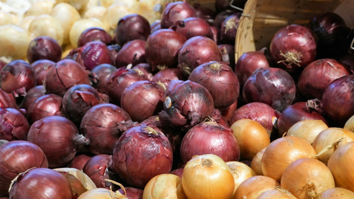 Salmonella Outbreak Linked to Onions Spreads to 43 States and Canada