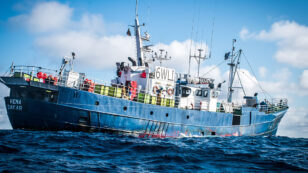 Commercial Fishing Vessel Busted in Africa for Shark Finning