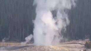 Watch Yellowstone’s Giantess Geyser ‘Roar Back to Life’ After 6 Years of Silence