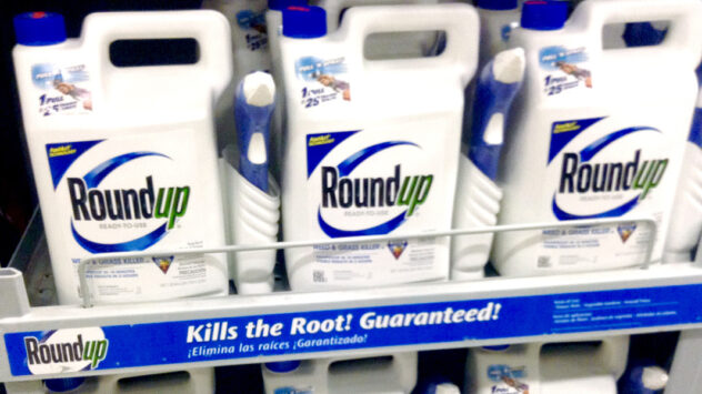 Judge Threatens to Sanction Monsanto for Secrecy in Roundup Cancer Lawsuits