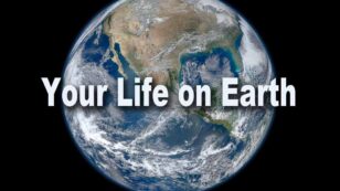 Find Out How Much the Earth Has Changed Since You Were Born