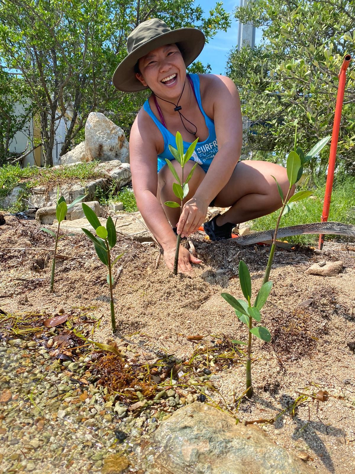 EcoWatch writer Tiffany Duong restored red mangroves to the Florida Keys.