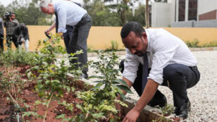 Ethiopia Plants Record-Breaking 350 Million Trees