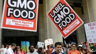 ‘A Disaster’: Critics Blast New GMO Labeling Rule From Trump’s USDA