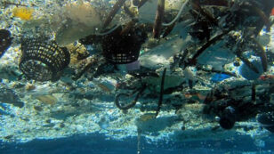 G20 Environment Ministers Agree to Tackle Marine Plastic Waste