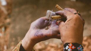 Indigenous Languages Are Going Extinct and Taking Knowledge of Medicinal Plants With Them