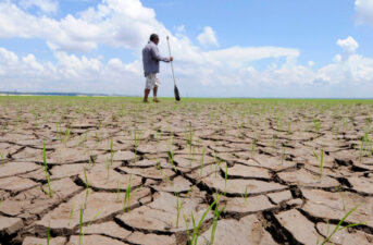 Half a Degree of Warming Makes a Big Difference to Global Food Security, Study Finds