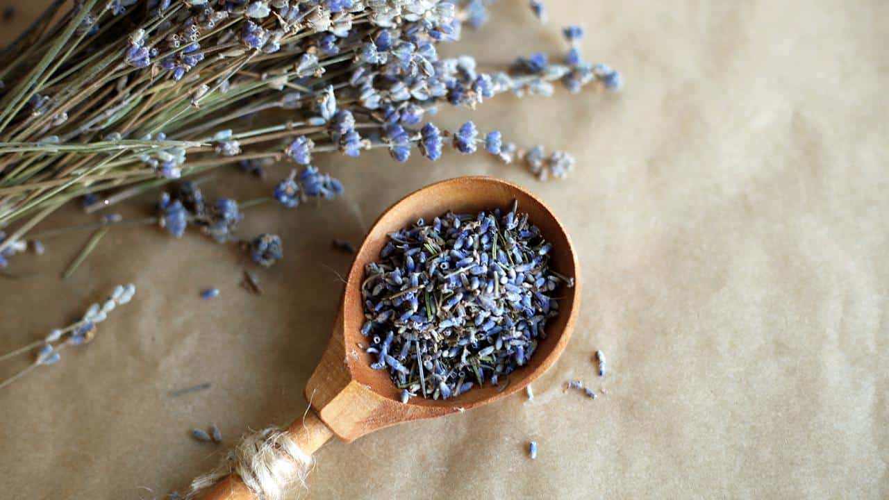 Surviving the Holiday Season With These 9 Herbs for Stress