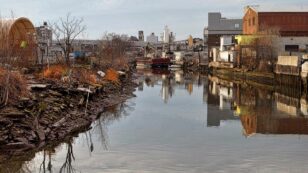 Living Near a Toxic Waste Site Could Lower Life Expectancy by a Year, Study Finds