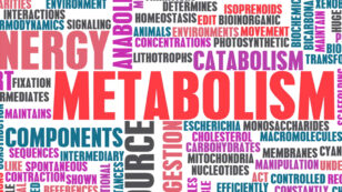 6 Ways You Might Be Slowing Your Metabolism