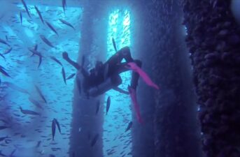 Watch: Ocean Reefs Hidden Beneath Offshore Oil Rigs