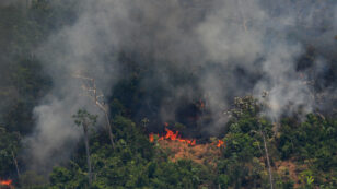 Amazon Rainforest Fires in Brazil Surge in July