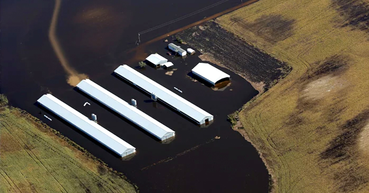 Will Hurricane Florence Flood North Carolina Factory Farms and Manure Pits?